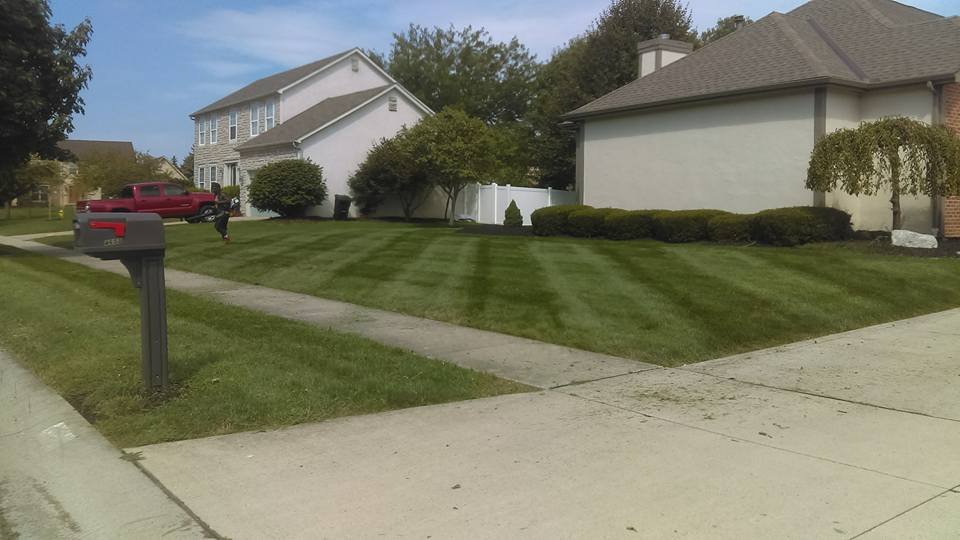 Photo of OneLove Lawn
