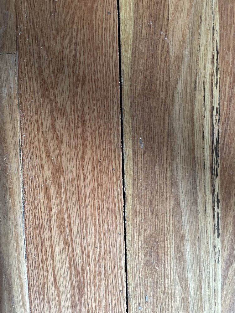 Photo of Everyday Floors