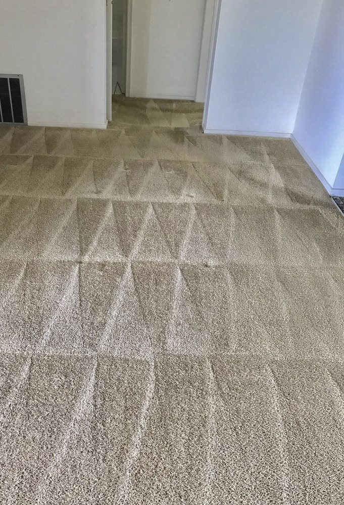 Photo of Carpet & Grout Cleaning