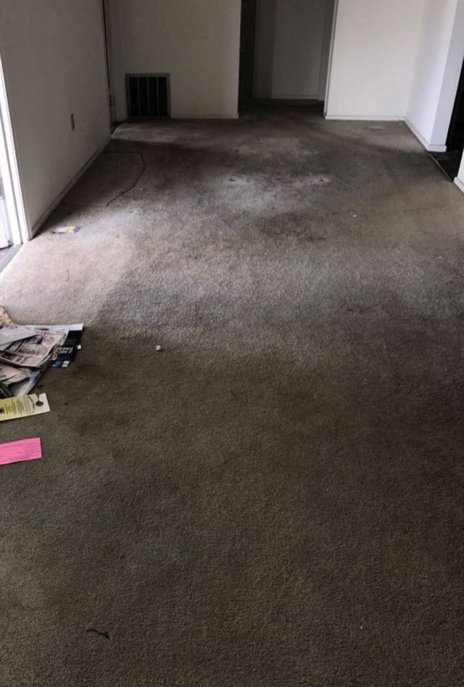 Photo of Carpet & Grout Cleaning