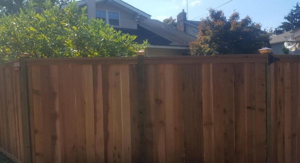 Photo of Guardian Fence