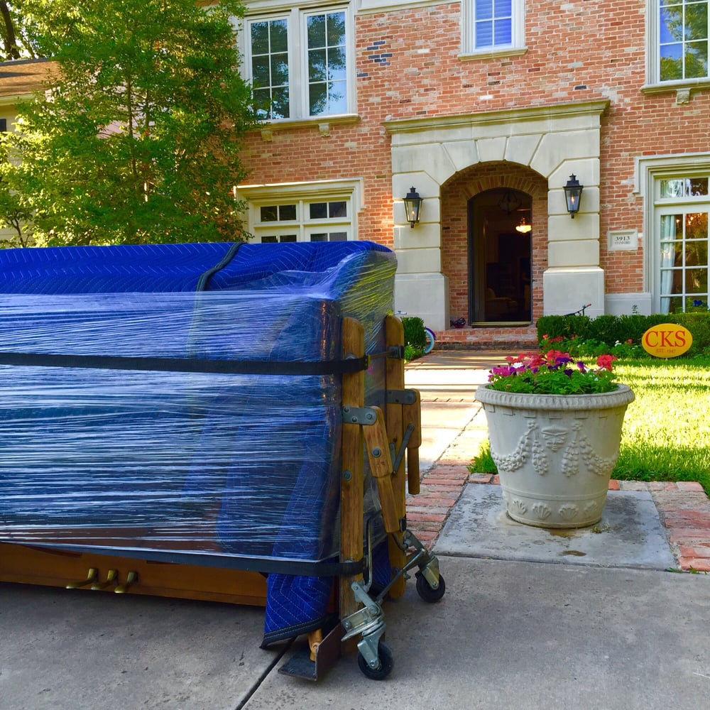 Photo of Magnificent Movers