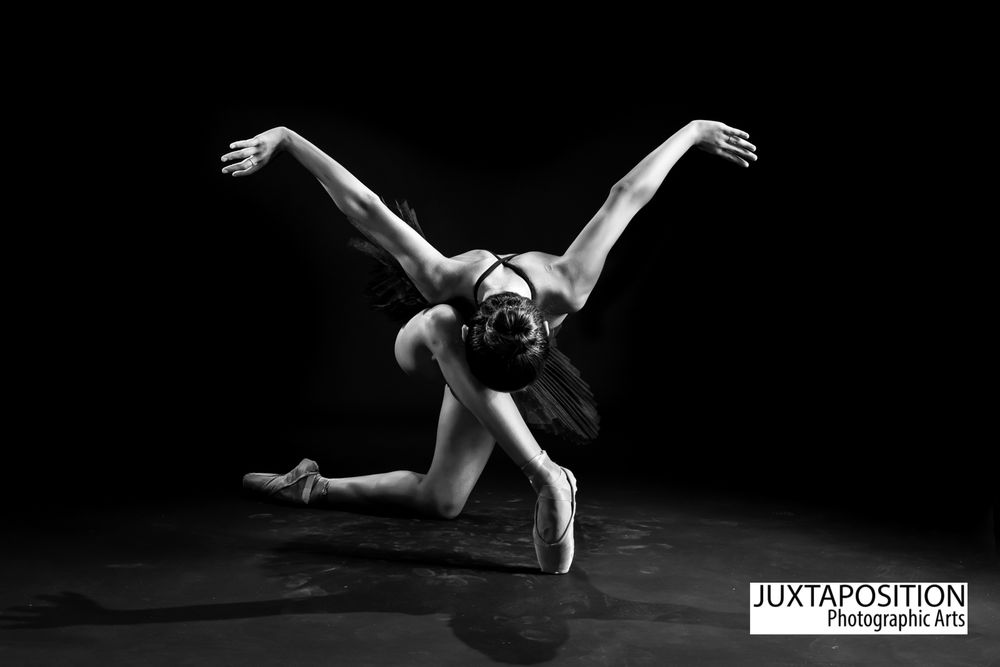Photo of Juxtaposition Photographic Arts