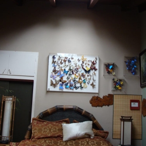 Photo of Lighten Up Skylights