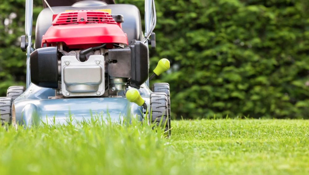 Photo of Point 2 Point Lawn Care