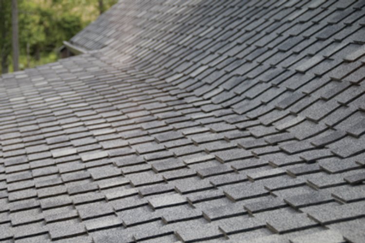 Photo of Maximum Roofing Services