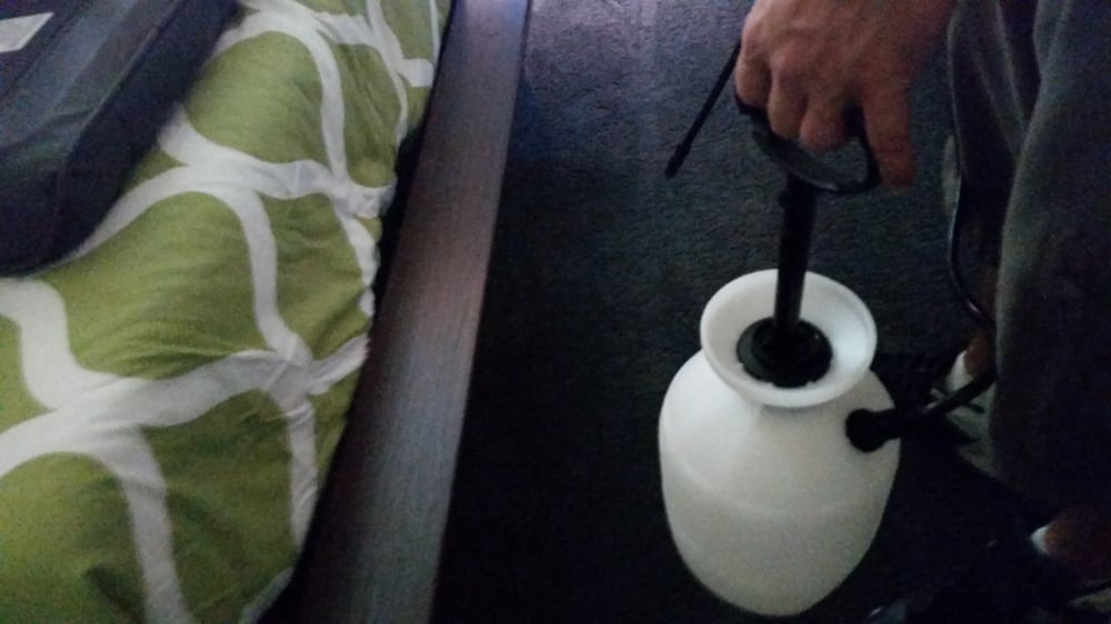 Photo of Chem-Dry of St. Augustine