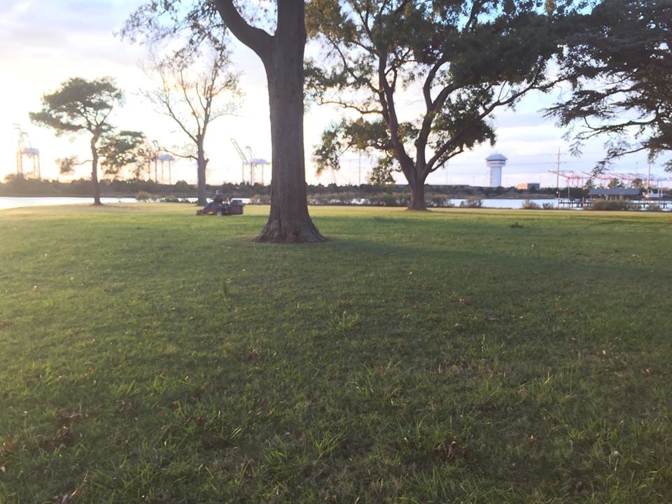 Photo of Max Landscaping & ETC
