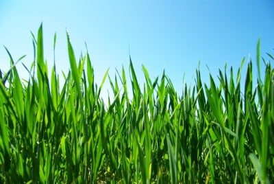 Photo of Hi-Definition Landscape