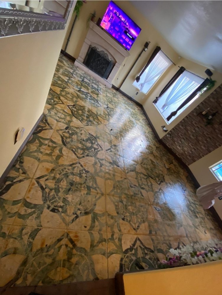 Photo of Carpet Monkey