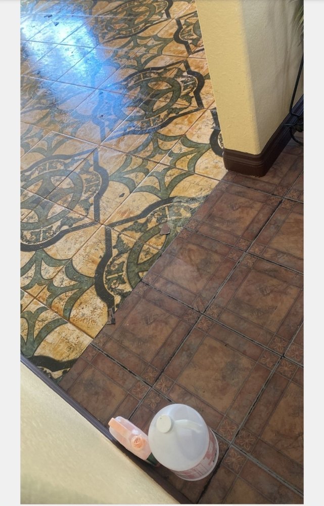 Photo of Carpet Monkey