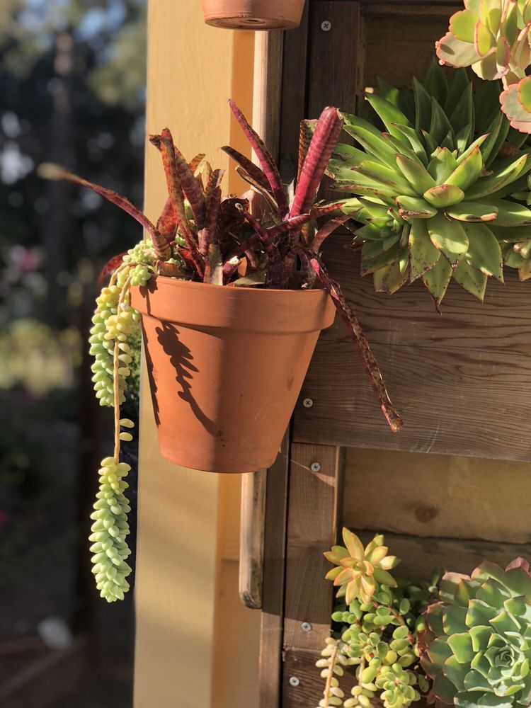 Photo of Poirier Garden Designs
