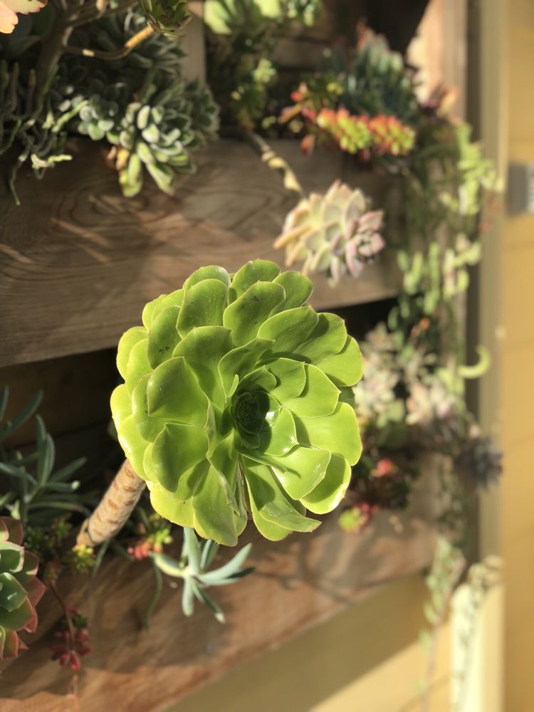 Photo of Poirier Garden Designs