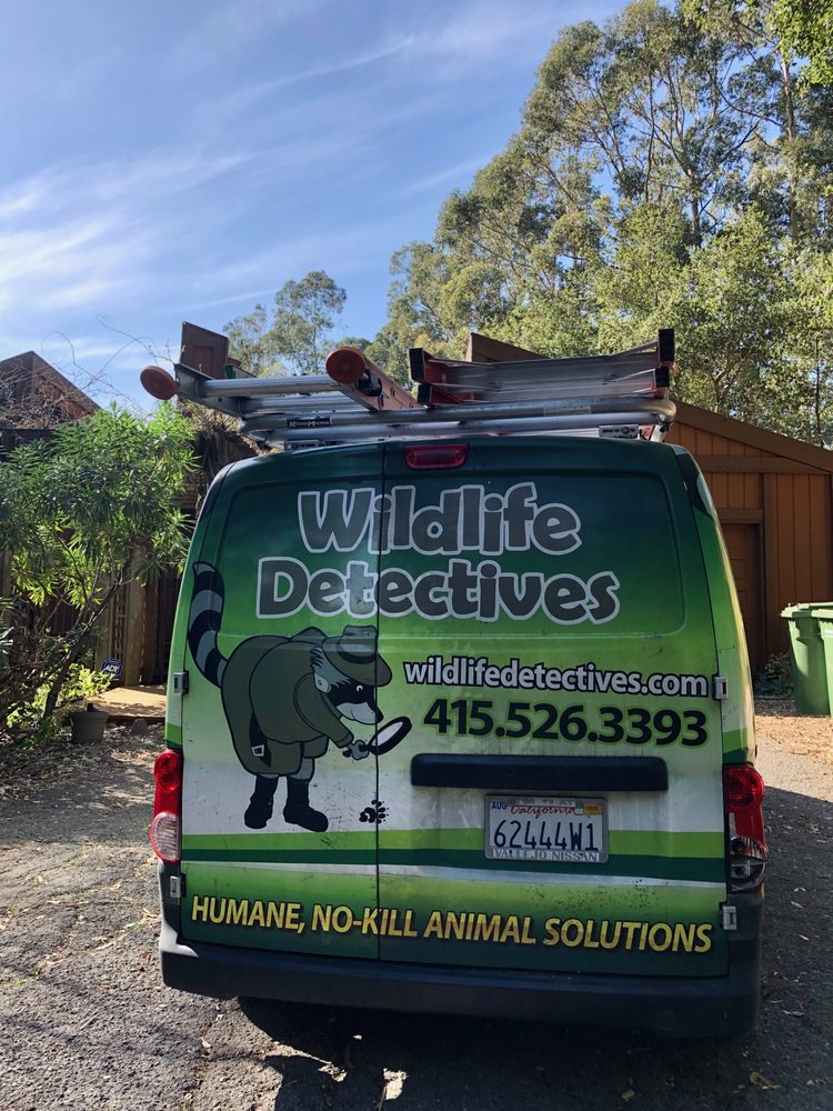 Photo of Wildlife Detectives