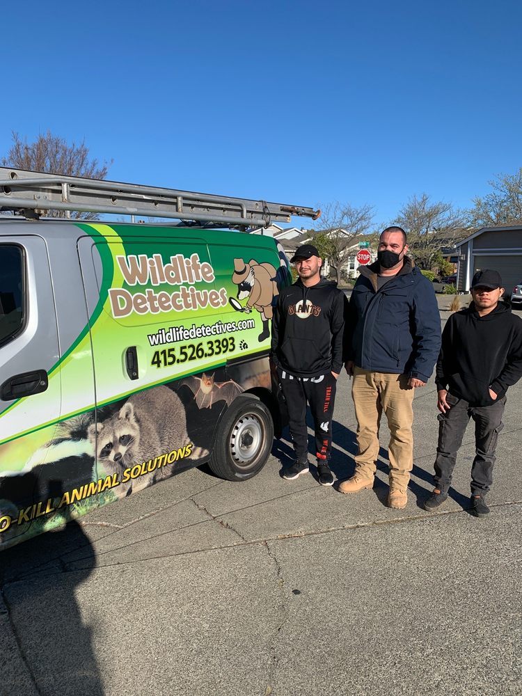 Photo of Wildlife Detectives