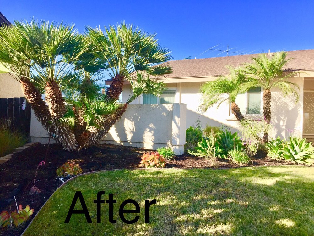 Photo of Banyan's Landscaping Maintenance