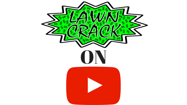 Photo of Lawn Crack