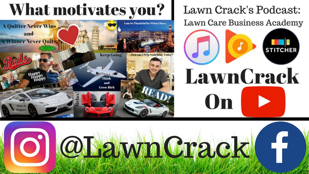 Photo of Lawn Crack