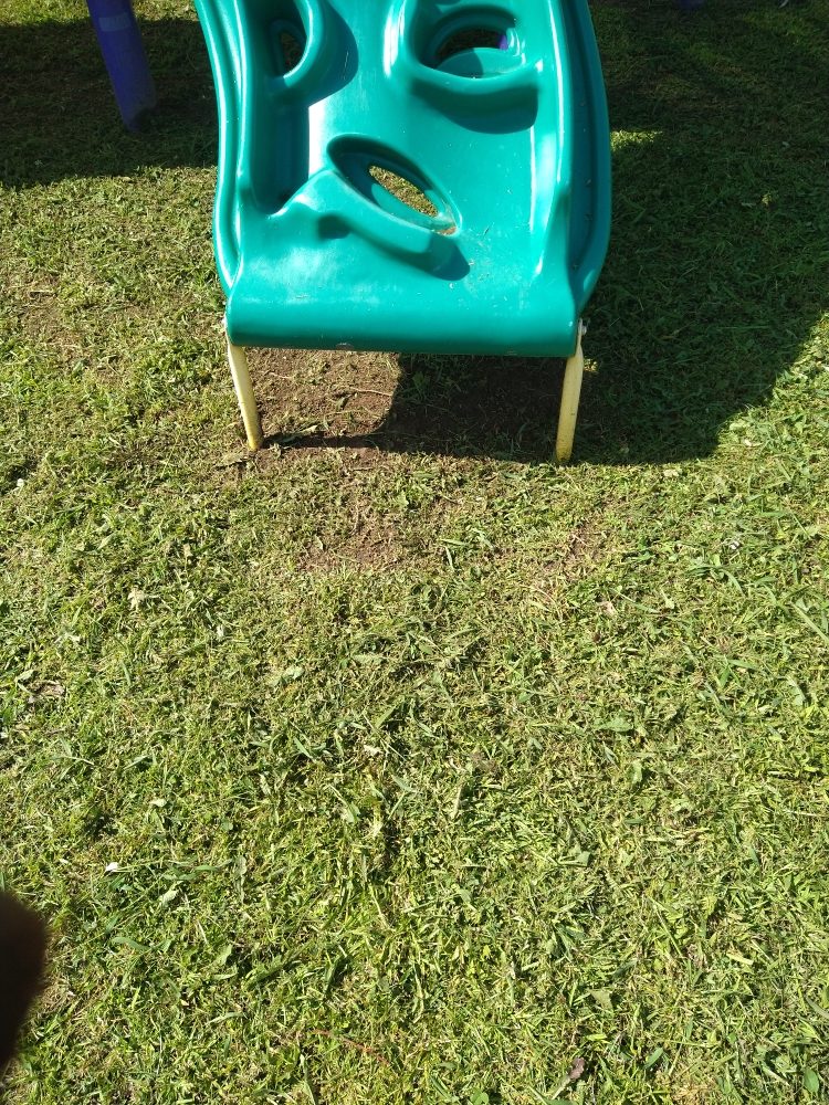Photo of Semper Fi Lawn Care