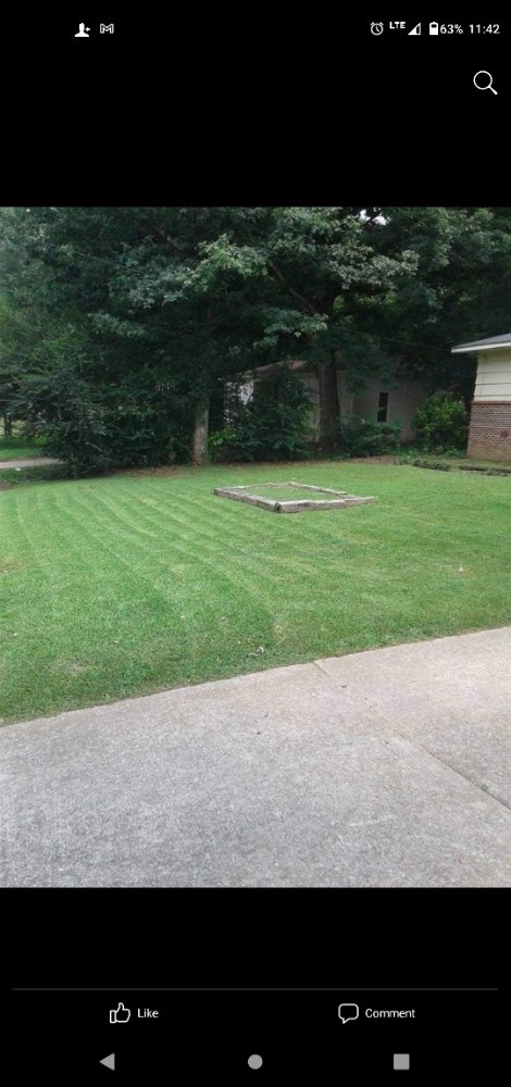 Photo of Semper Fi Lawn Care