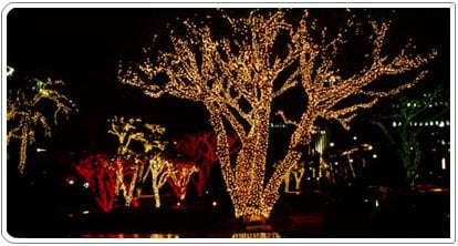 Photo of The Christmas Light Pros