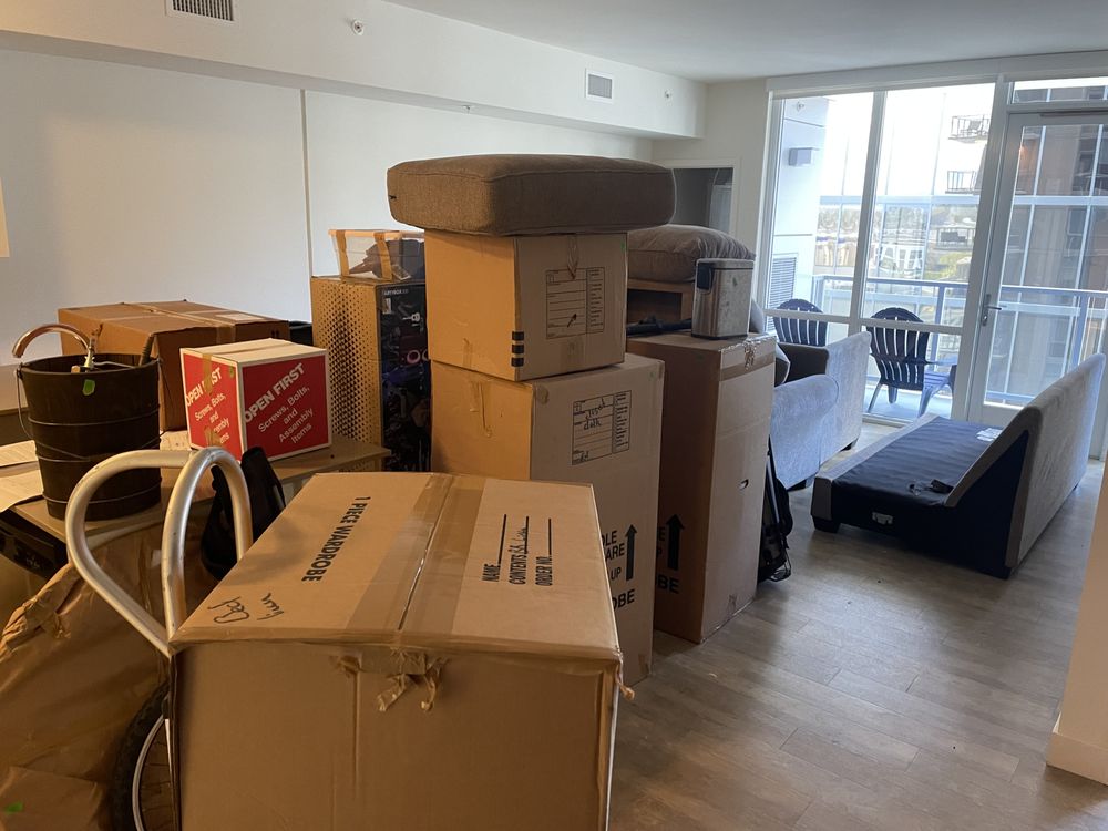 Photo of Buncha Professional Movers