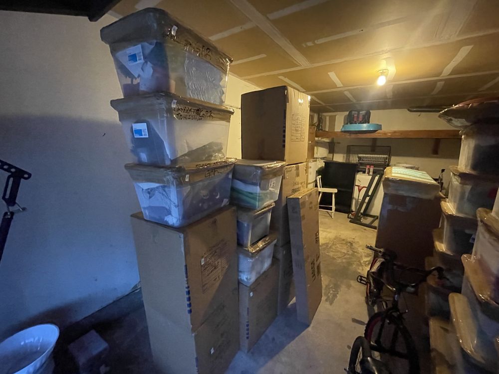 Photo of Buncha Professional Movers