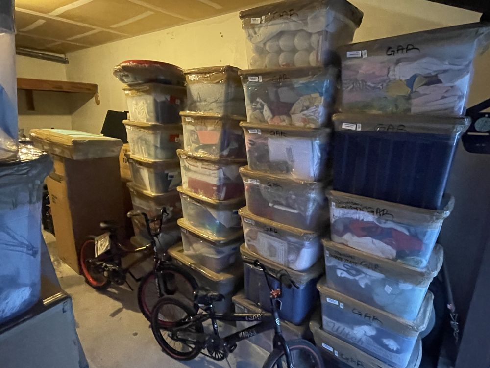Photo of Buncha Professional Movers