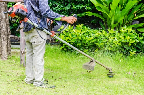 Photo of Greenwave Turf & Landscape