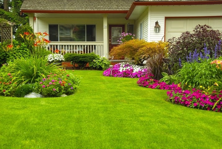 Photo of Greenwave Turf & Landscape