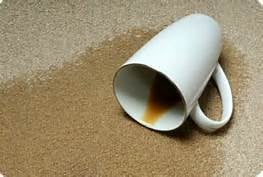Photo of Choice California Carpet Cleaning