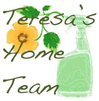Photo of Teresa Cleaning Team