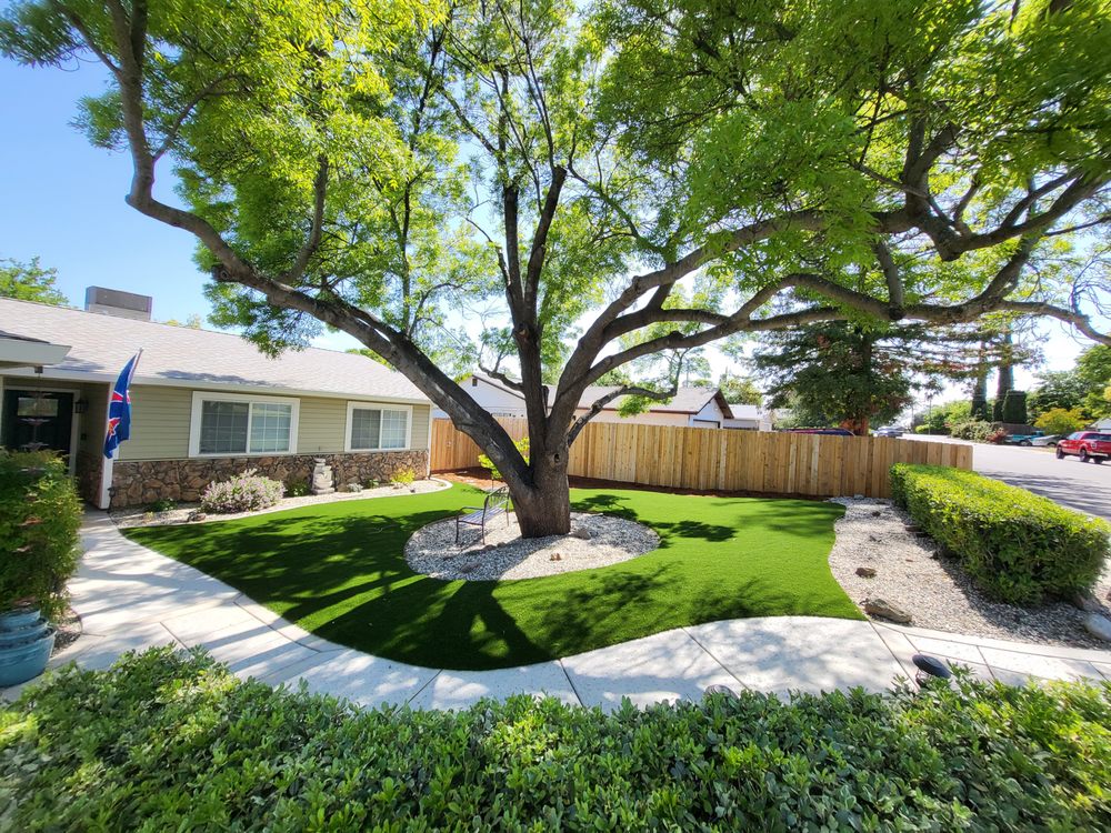 Photo of Purchase Green Artificial Grass
