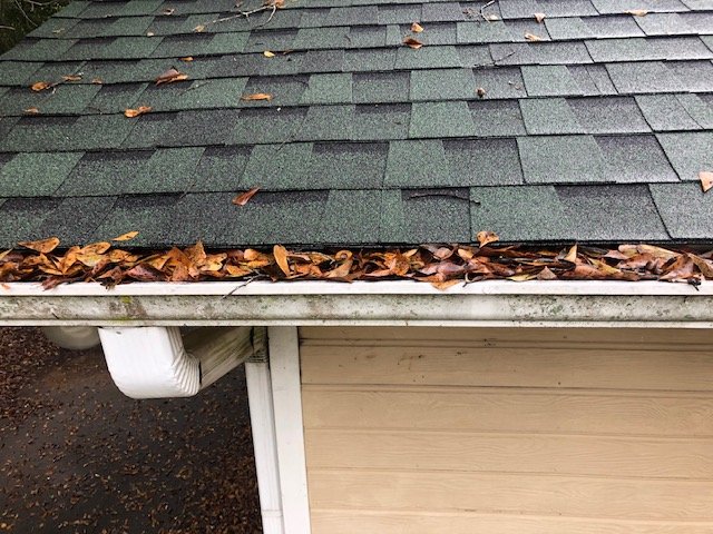Photo of That Gutter Guy
