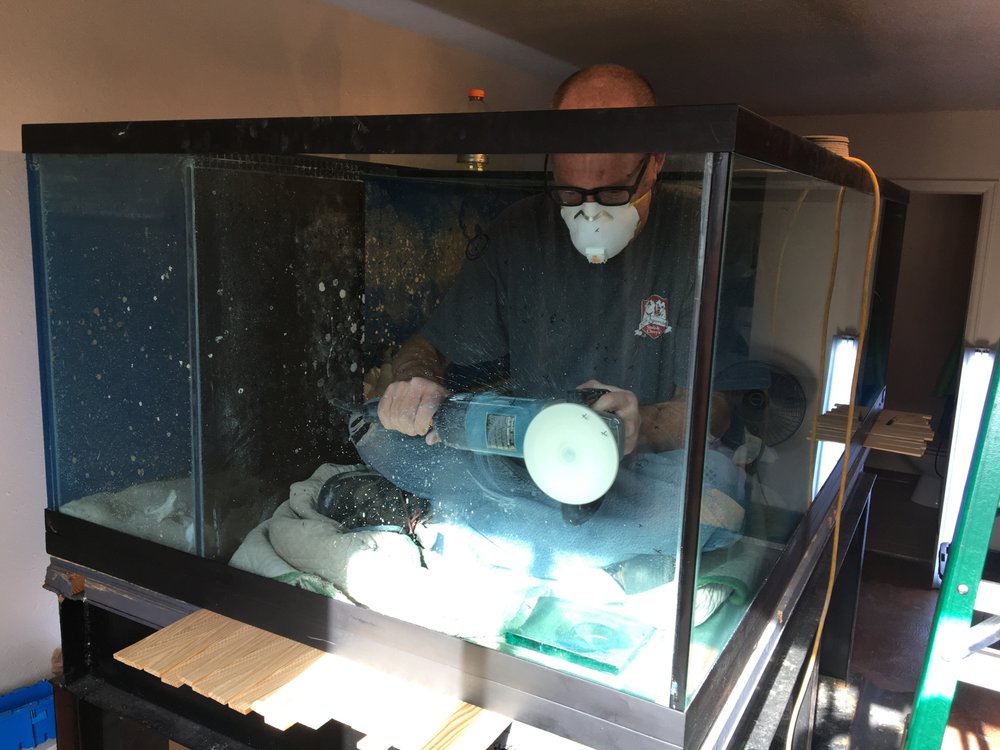 Photo of Castlewood Glass Restoration