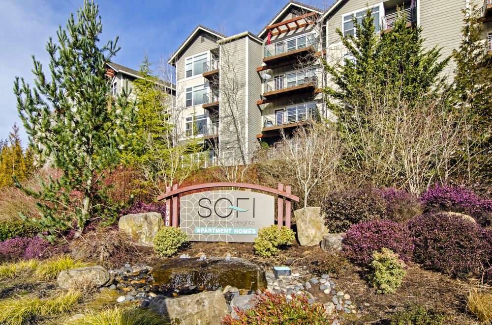Photo of Sofi at Forest Heights