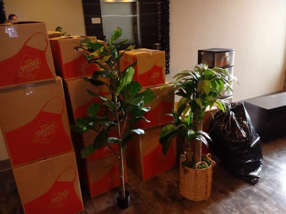 Photo of Handy Andy Moving