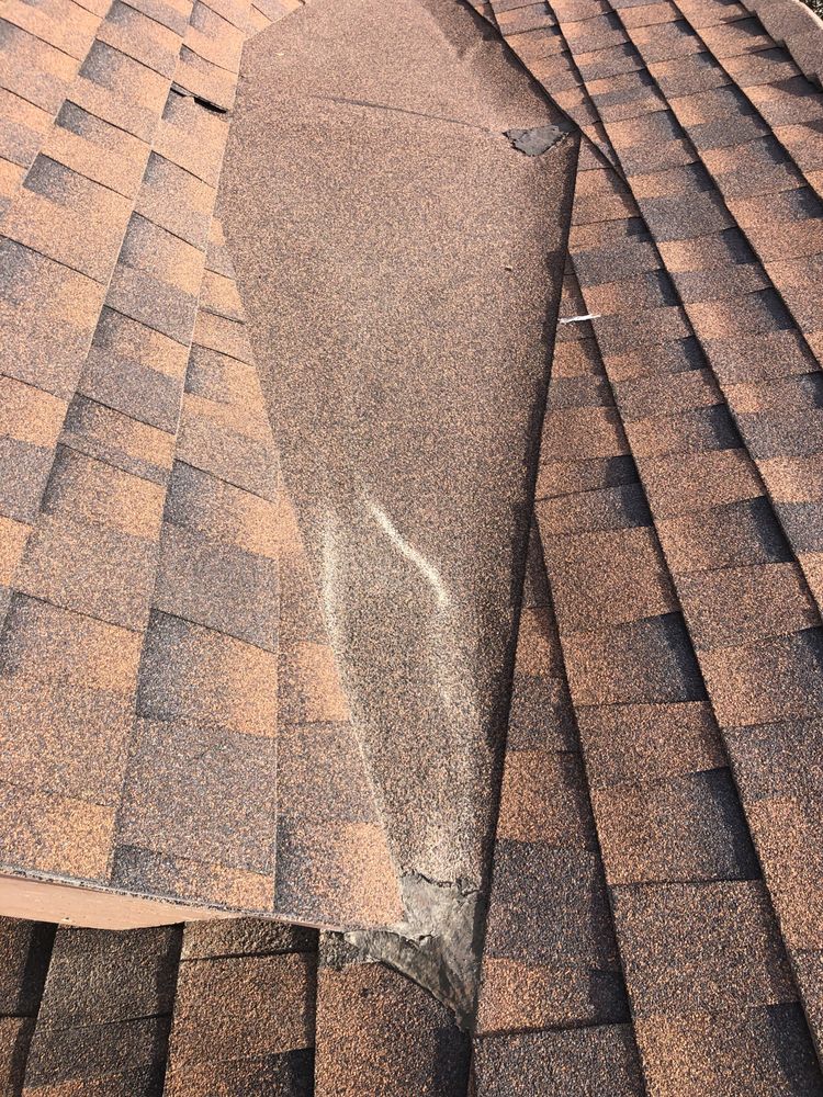 Photo of AGL Roof