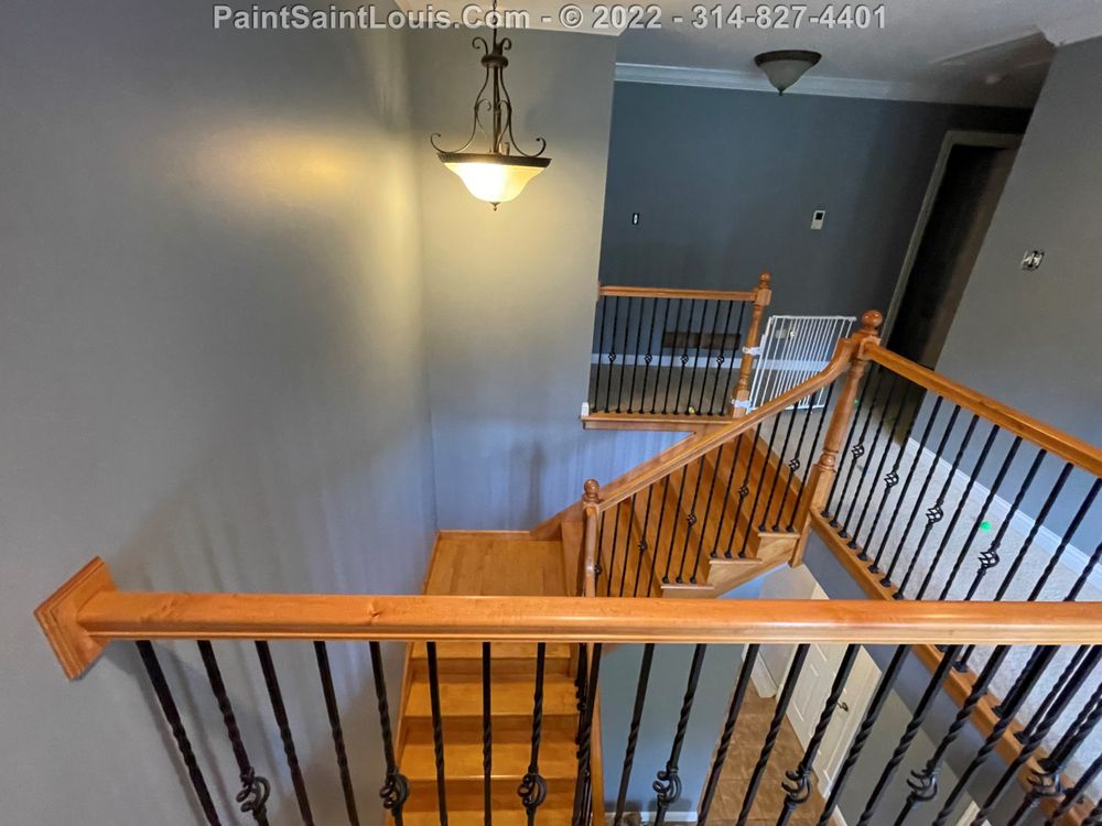 Photo of Paint Saint Louis