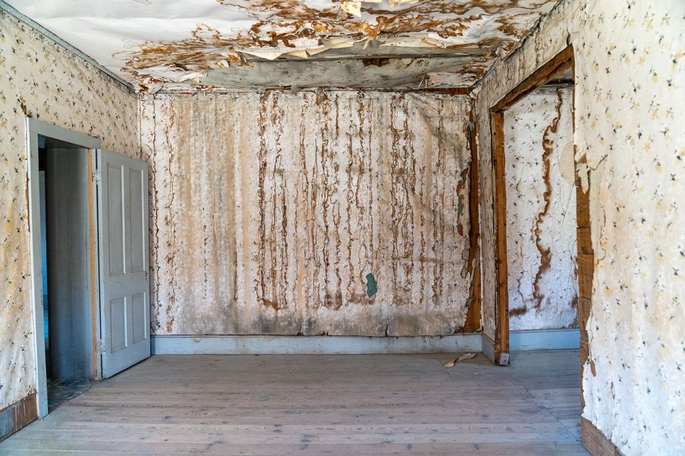 Photo of Quality Water Damage Restoration