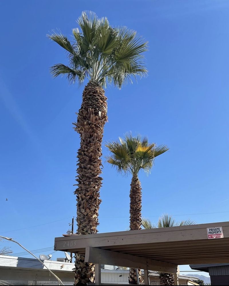 Photo of GreenerView Landscaping
