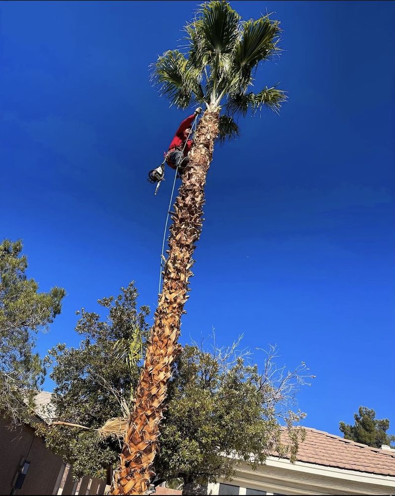 Photo of GreenerView Landscaping