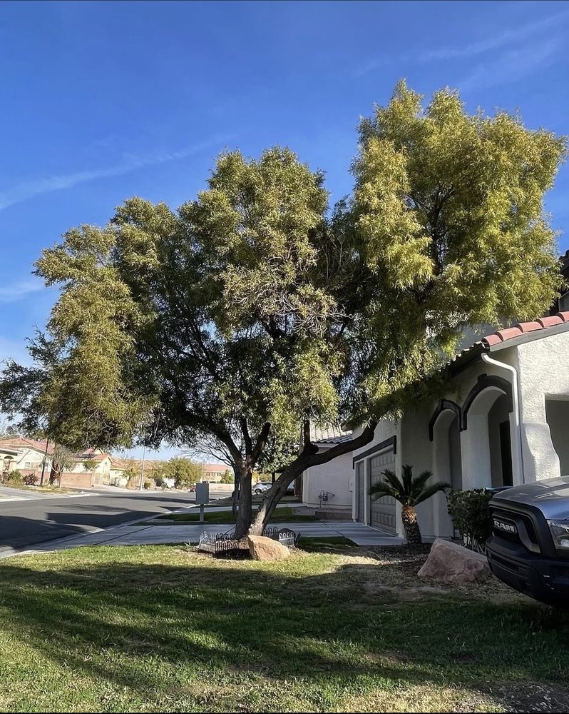 Photo of GreenerView Landscaping