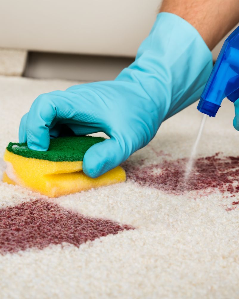 Photo of Hendersonville Carpet Crew