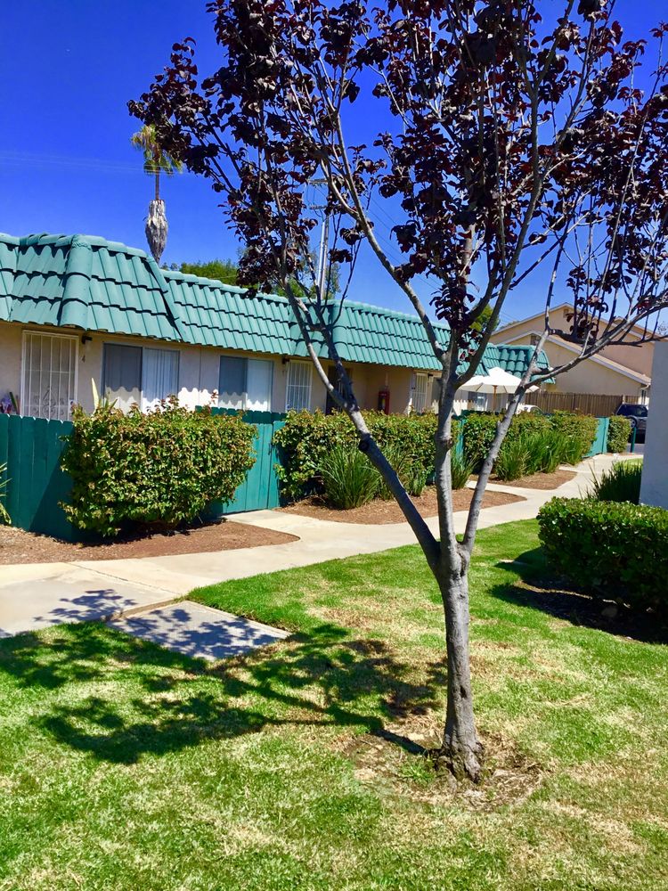 Photo of Grove Terrace Apartments
