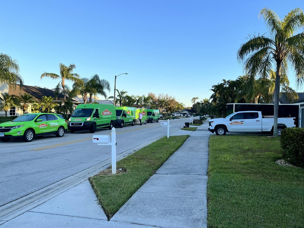 Photo of SERVPRO of Maple Grove/Corcoran