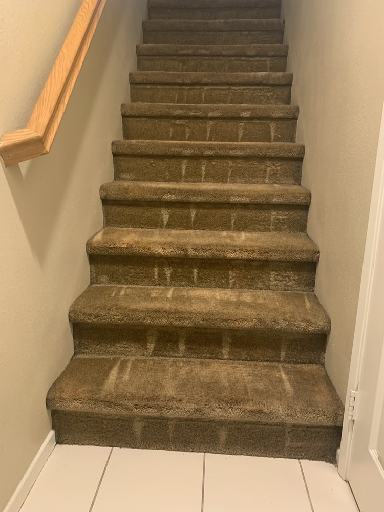 Photo of Mann's Carpet Cleaning