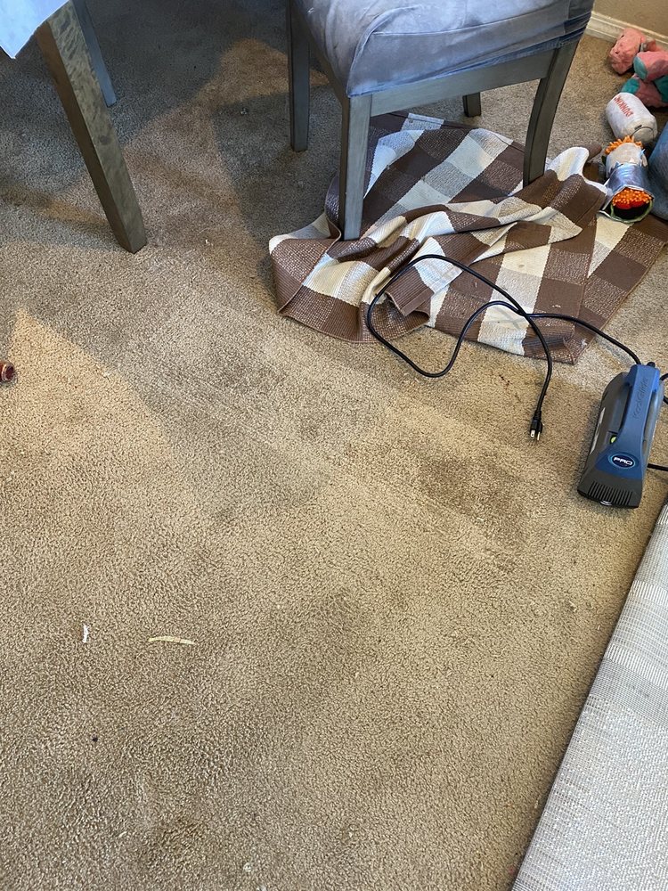 Photo of Mann's Carpet Cleaning