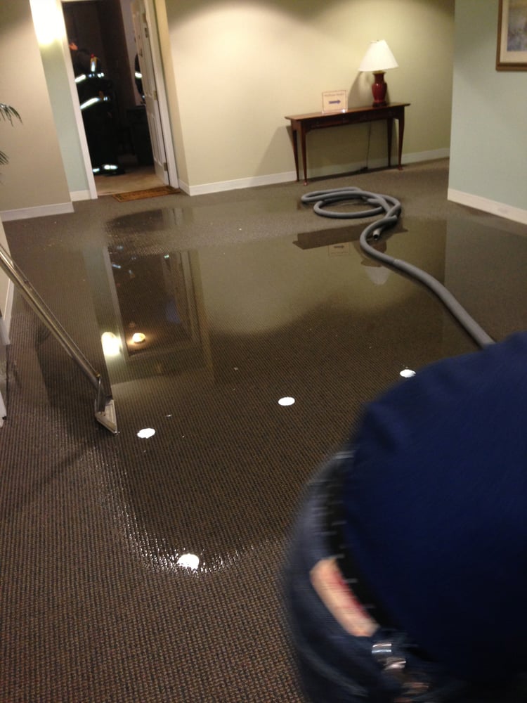Photo of New England Carpet & Upholstery Cleaning