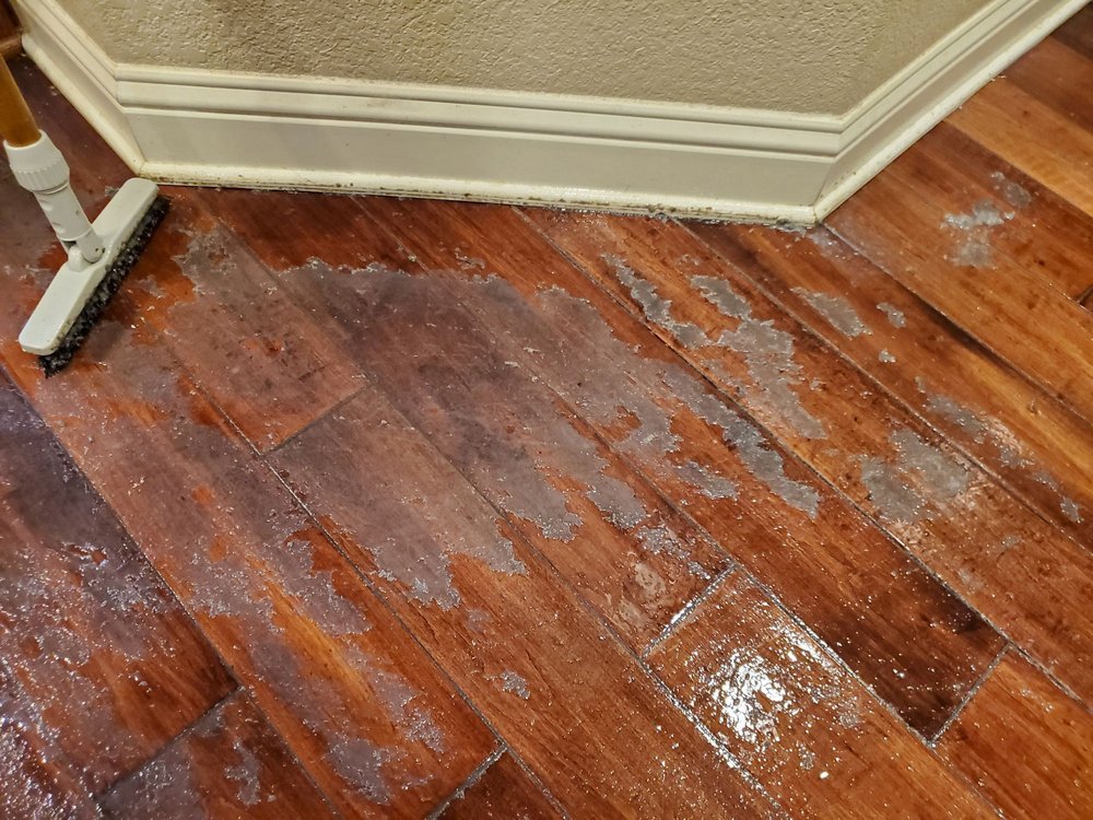 Photo of Above The Rest Carpet Cleaning